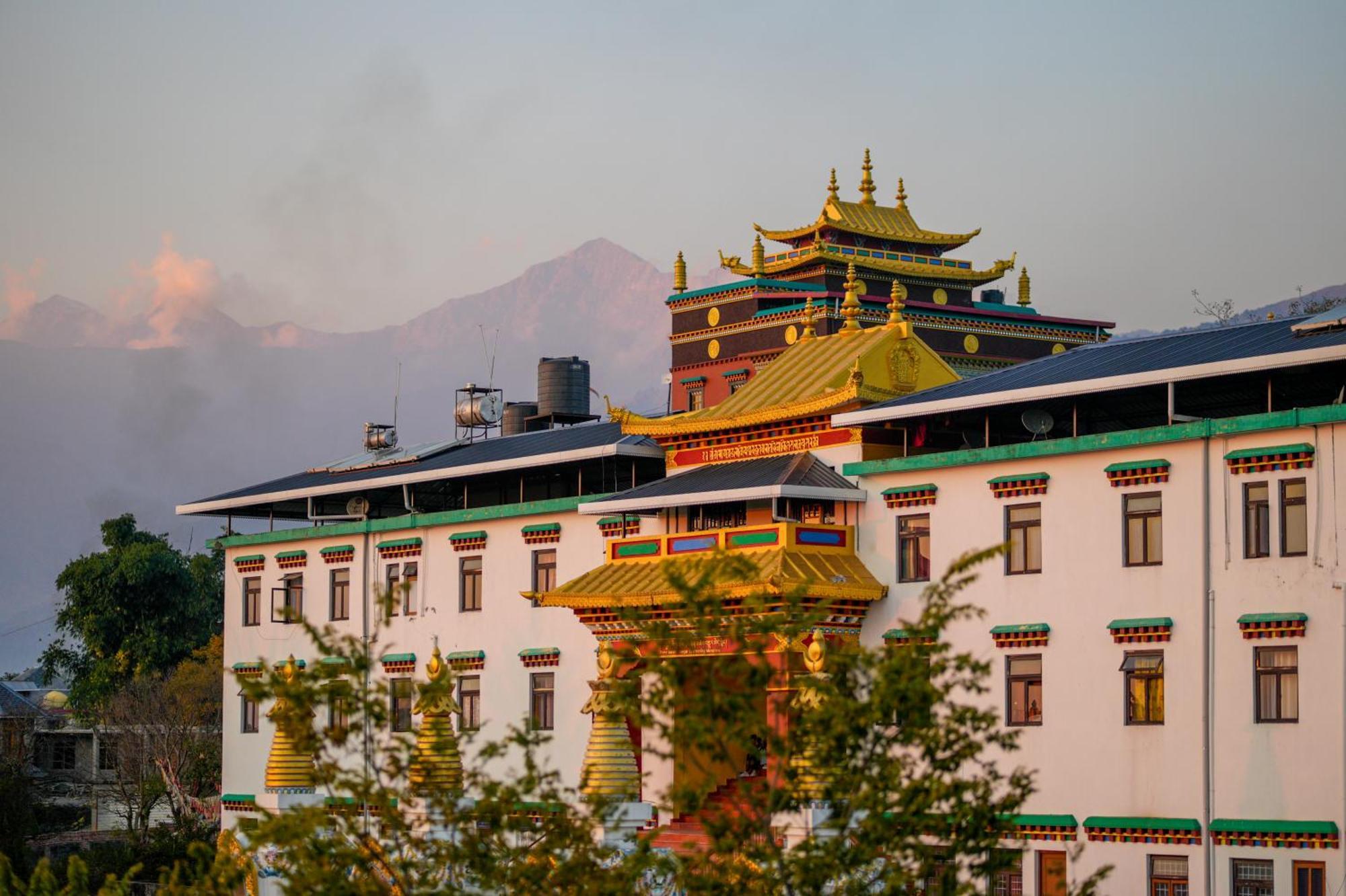 Chokling Arthouse - The Treasure Of Himalayas Hotell Bīr Eksteriør bilde